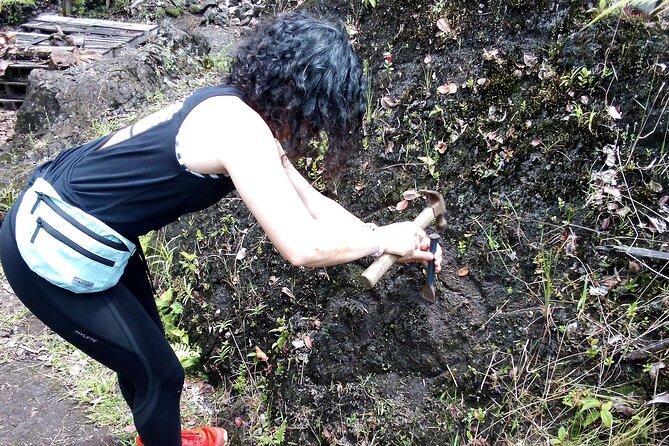 Big Island Jungle Tour with Banana and Guava Green Tea - An In-Depth Look at the Big Island Jungle Tour