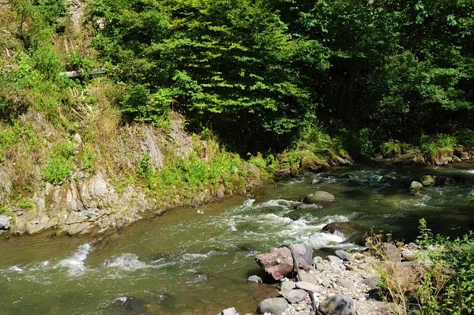 Borjomi Tour from Tbilisi with Bakuriani Resort and Soviet Train Ride - Introduction