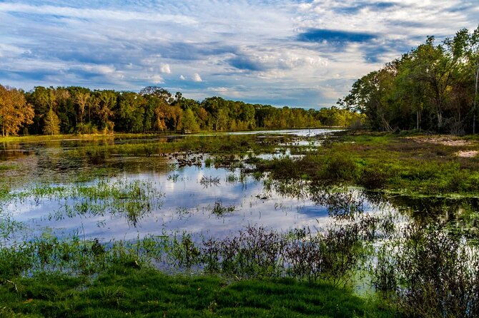Brazos Bend Wildlife and Nature Tour - Who Should Consider This Tour?