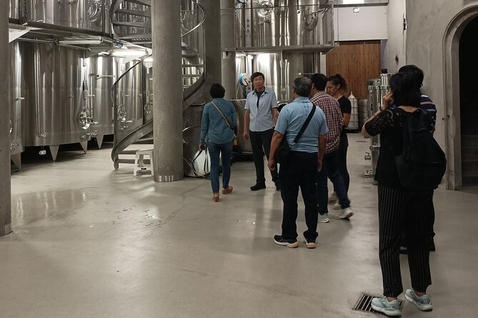 Burgundy wine tour - Private tour with professional tour guide ! - Exploring Burgundy with a Private Wine Tour: What to Expect
