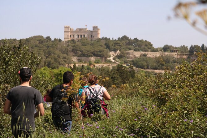 Buskett Woodlands and Dingli Cliffs Nature Walking Private Tour - Exploring Malta’s Natural Wonders: Buskett Woodlands and Dingli Cliffs Private Tour