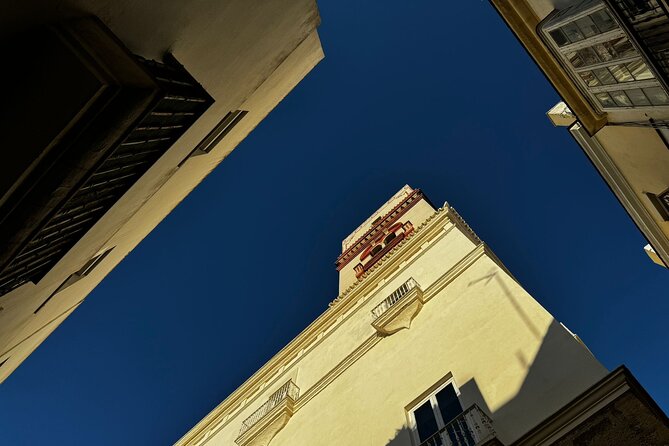 Cadiz from a Seagull's Eye View: A Route Between Rooftops and Observation Towers - Good To Know