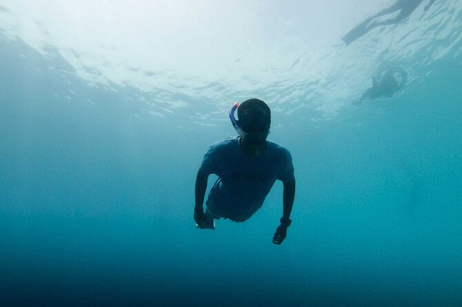 Cala Gonone Snorkeling in the Orosei Gulf - Good To Know