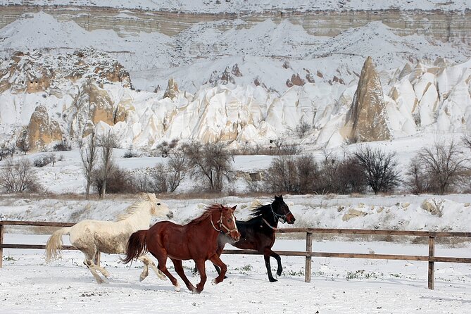 Cappadocia: Fairy Chimneys Horseback Riding Adventure - Good To Know
