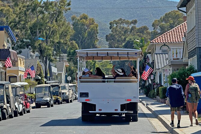 Catalina Island City and Scenic Mt Ada Tour - Good To Know  