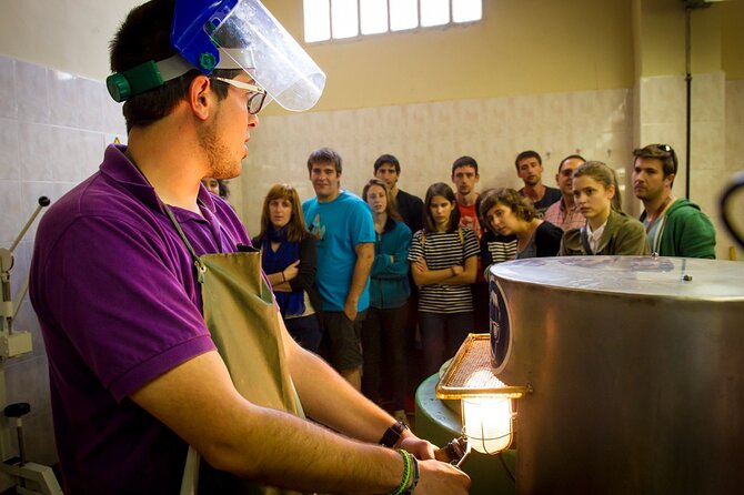 Cava Making Experience at the Local Winery in Barcelona - Introduction