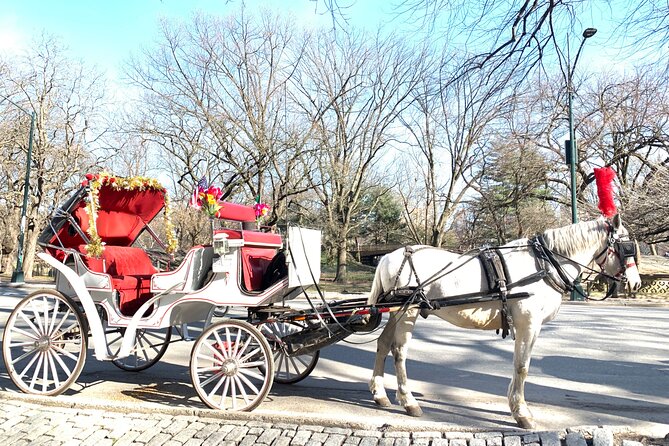 Central Park Horse Carriage Rides Since 2005 - Good To Know