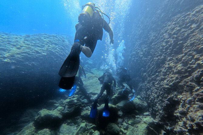 Chania Scuba Diving | Fun Dives | Certified Divers - Chania Scuba Diving | Fun Dives | Certified Divers: An Honest Review