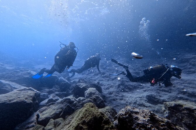 Chania | Try Scuba Diving | Private Introduction Dive - Good To Know