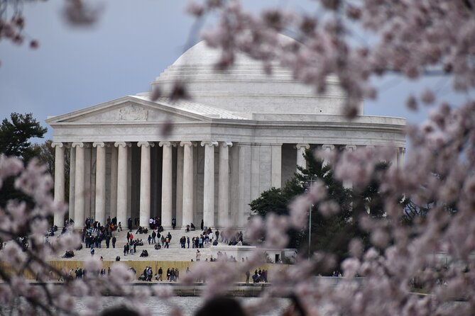 Cherry Blossom Private Bus Tour of Washington DC - Who This Tour is Perfect For