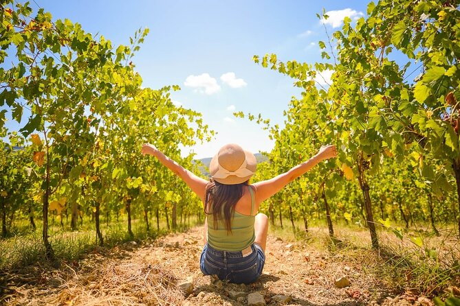 Chianti Wineries Tour with 7 Wine Tastings from Florence - Good To Know
