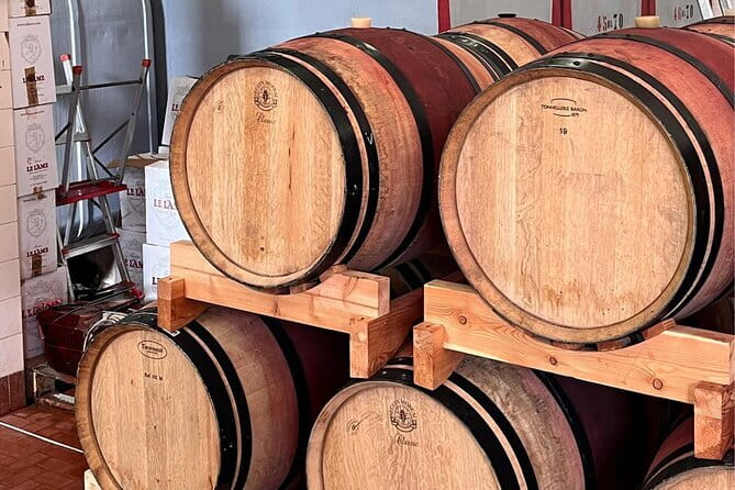 Chianti Winery + Brolio Castle Private Tour - A Closer Look at the Chianti Winery + Brolio Castle Private Tour