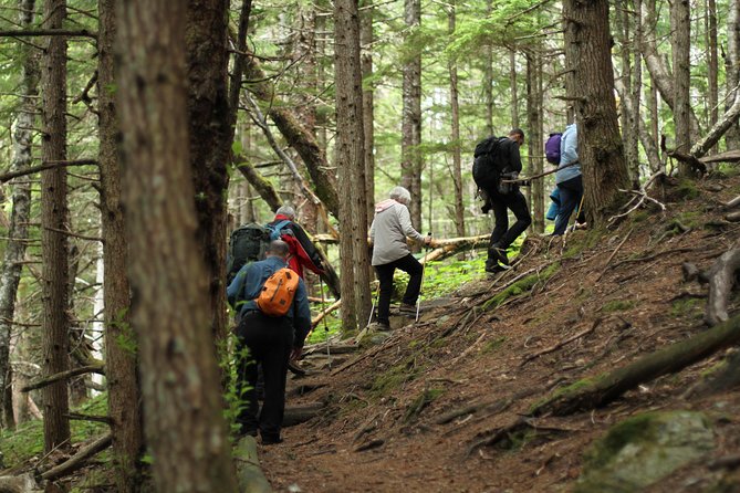 Chilkat Inlet Coastal Hike in Haines - Introduction: A Guided Taste of Alaskas Coastal Wilderness