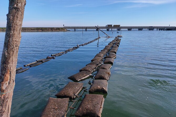 Chioggia : Aquaculture Secrets Tours of the Lagoon - Introduction