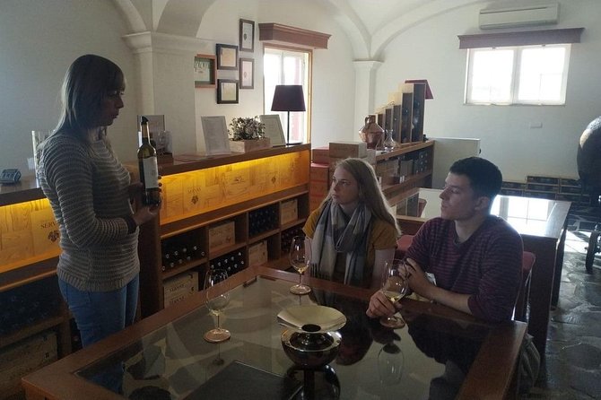 Coimbra Private Tour - Discovering Coimbra: A Day Tour Worth Your Time
