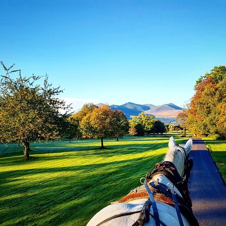 Combination Killarney Jaunting Car Tour and Lakes of Killarney Cruise - Good To Know