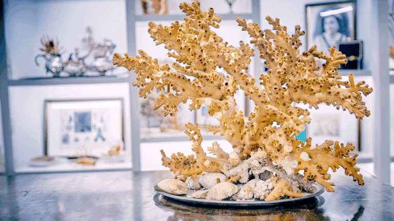 Coral workshop and visit of the museum in Sciacca
