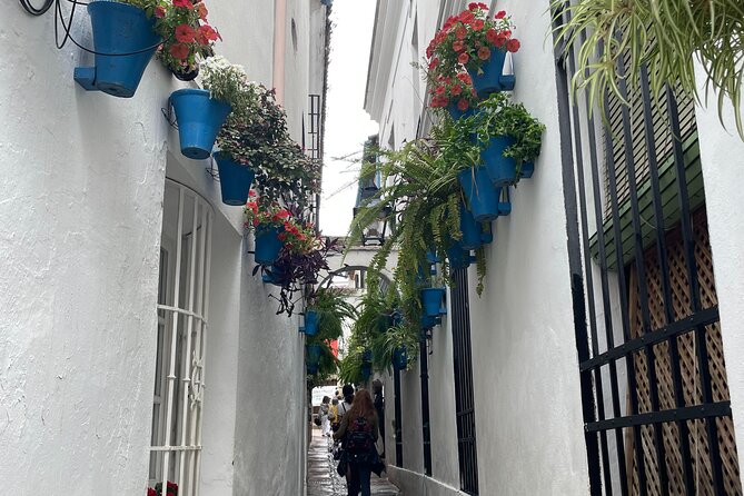 Cordoba Highlights Private Walking Tour - Good To Know