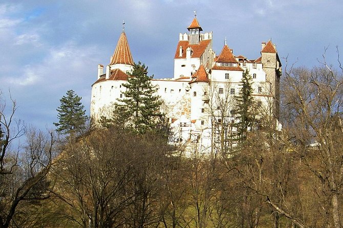 Cultural Day Trip to Transylvania including Peles Castle & Bran Dracula's Castle - Exploring Romania’s Charm: A Review of the Cultural Day Trip to Transylvania