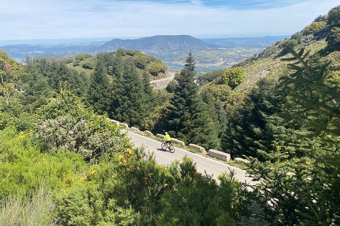 Cycling - Las Palomas Pass - Easy to Moderate Difficulty - Exploring the Beautiful Grazalema Natural Park by Bike
