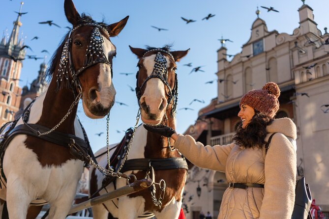 Czartoryski Palace Museum Tickets and Krakow Old Town Tour - Good To Know