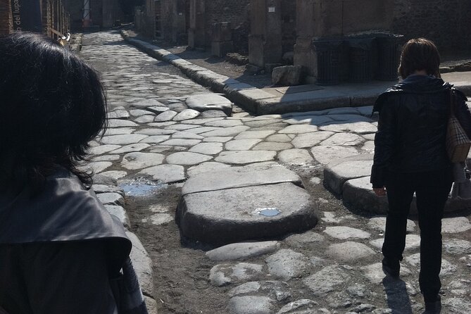 Day trip from Rome to Pompei Mt Vesuvius & Local Guide included - Good To Know