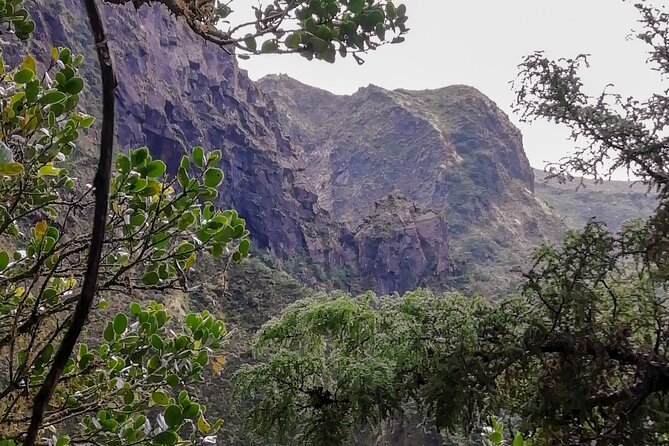 Descent to Caldeira do Faial - The Perfect Adventure - Good To Know