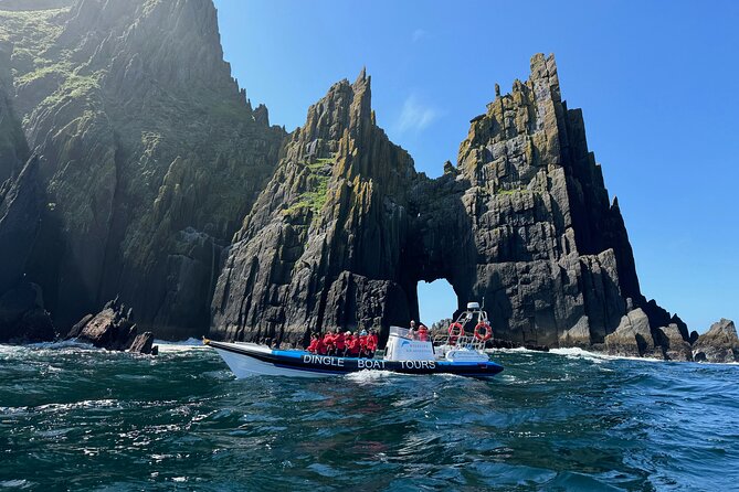 Dingle Boat Tours RIB Adventure Private - Good To Know