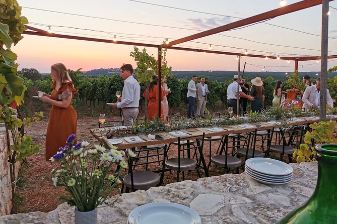 Dinner in the vineyard with wine tasting and walk - Good To Know