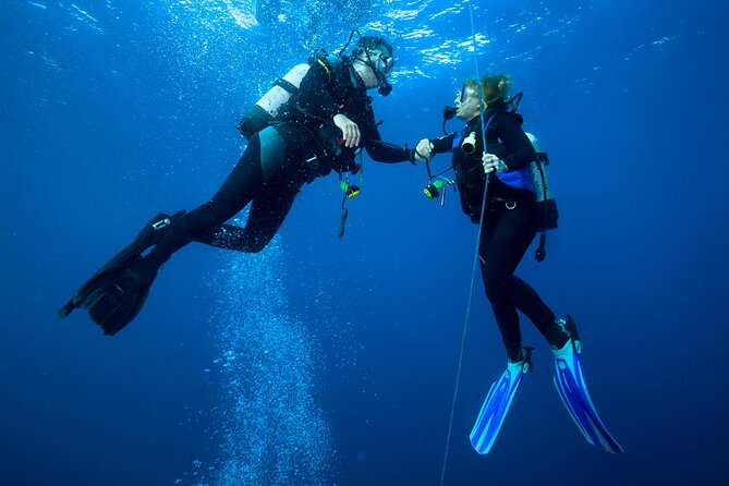 Discover Scuba Diving in Waikiki - What to Expect from the Waikiki Discover Scuba Tour