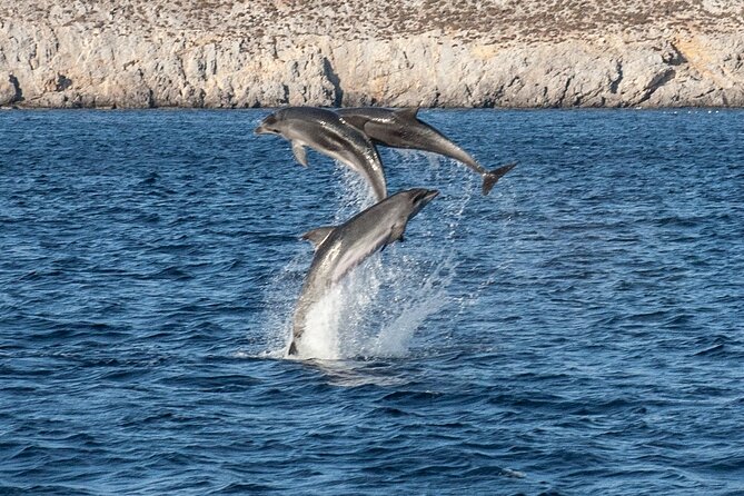 Discover South Naxos Coast Day Cruise - Good To Know