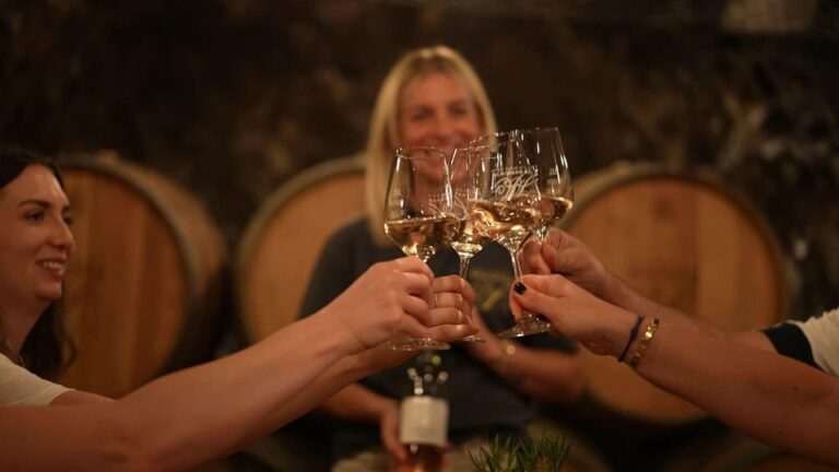 Discovery tour – cellar tour with wine tasting