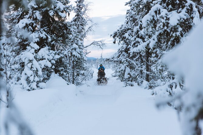 Dog sledding excursion to Kiruna - Good To Know