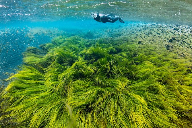 Double Snorkeling Adventure near Húsavík in North Iceland - Double Snorkeling Adventure near Húsavík in North Iceland