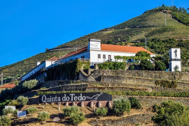 Douro: easy walking + wine tasting + Picnic + visit