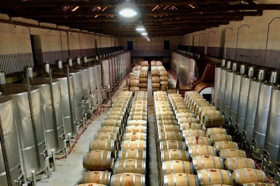 Douro - tour to explore the cradle of Barca Velha wine - Practical Details and What You Need to Know  