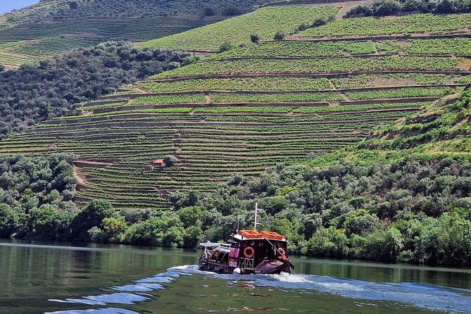 Douro Valley-Expert Guide-Boat-Lunch-Tastings Premium Service - Good To Know