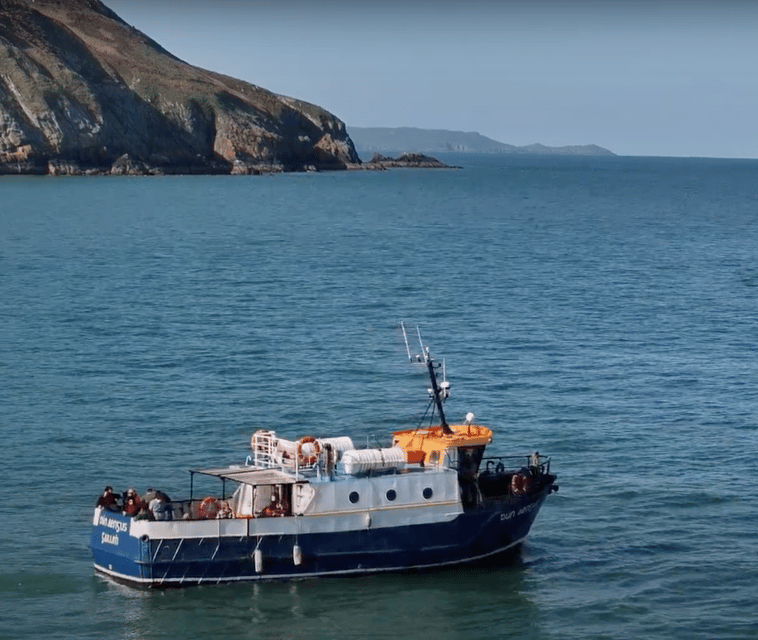 Dublin: Howth Cliffs and Lighthouse Boat Tour - What to Expect on the Howth Cliffs and Lighthouse Boat Tour
