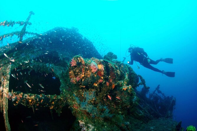 Dubrovnik 1 Dive for Certified Divers - Good To Know