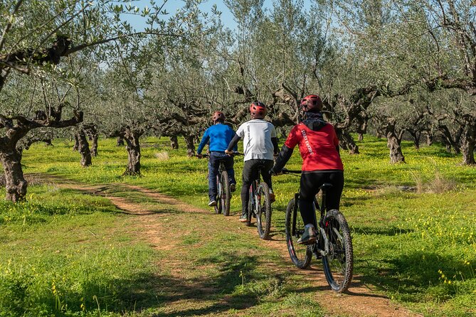 E-Bike Kalamata Olive Routes - What to Expect From the Kalamata Olive Routes E-Bike Tour