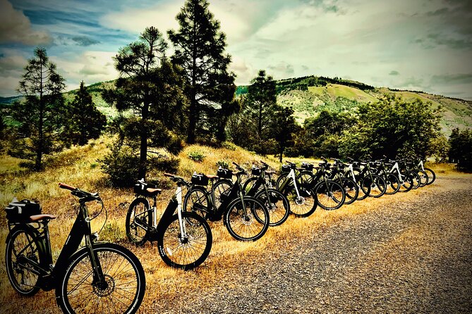 E Bike Rental in Hood River - An Honest Look at the E Bike Rental in Hood River