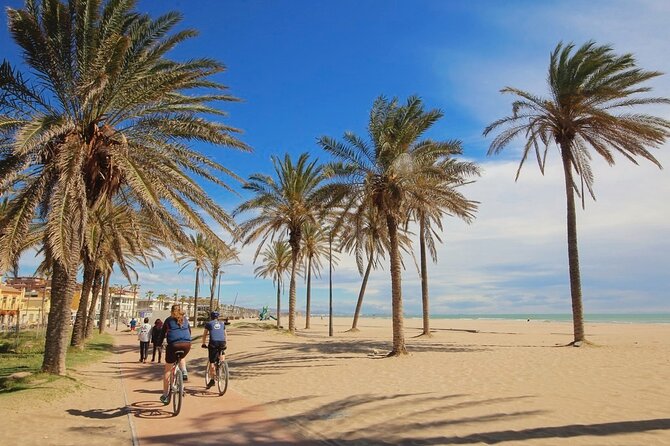 E-bike Tour: Beaches, & City of Arts and Sciences (From 30,00) - Good To Know