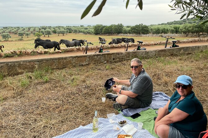 Ebike Tour Millennials Olive Trees Park with Aperitif - Introduction: A Unique Puglia Adventure on Two Wheels