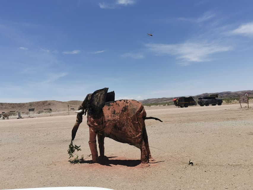Elephant Adventure with Herson - a native of Damaraland - The Real Value of This Tour