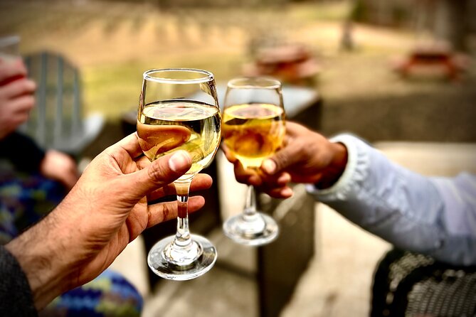 Elijay Hike w/ Waterfall & Wine Tasting Private Tour from ATL - Good To Know