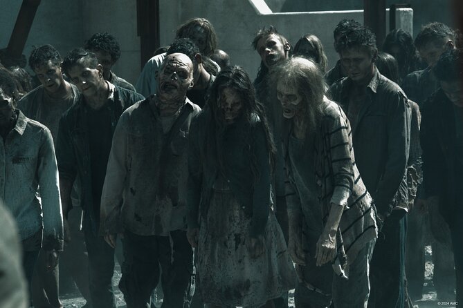 Escape Game outdoor The Walking Dead in Lyon - Introduction