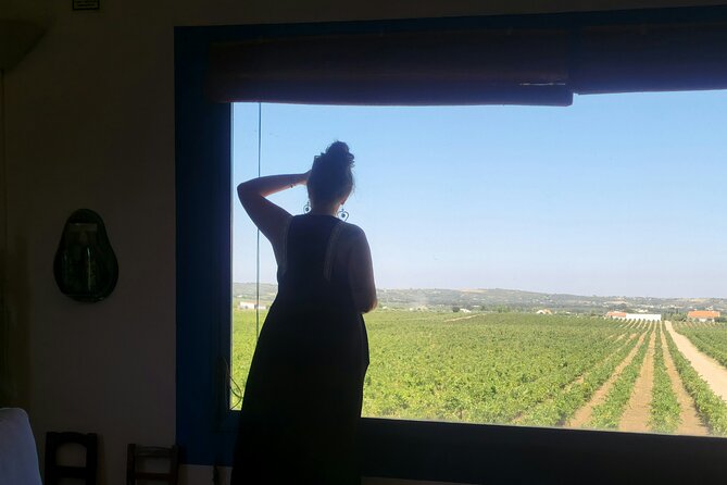 Evora Wine & Cork Experience - Good To Know