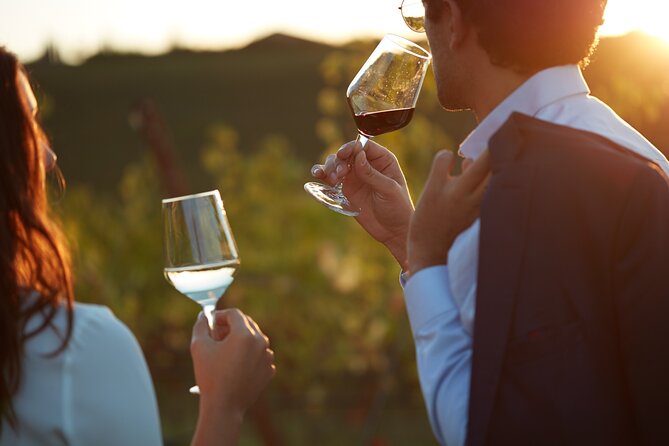 Experience Emilian Wines at Bologna Vineyard Vista - Experience Emilian Wines at Bologna Vineyard Vista: A Complete Review
