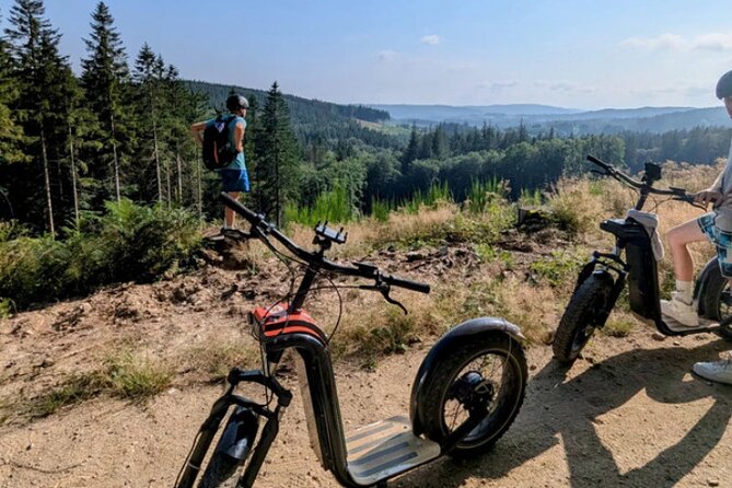 Explore the forests of Haut Languedoc on an electric scooter - Exploring the Forests of Haut Languedoc on an Electric Scooter: A Complete Guide