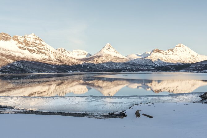Explore the Norwegian Fjords and the Wildlife From Abisko - Good To Know
